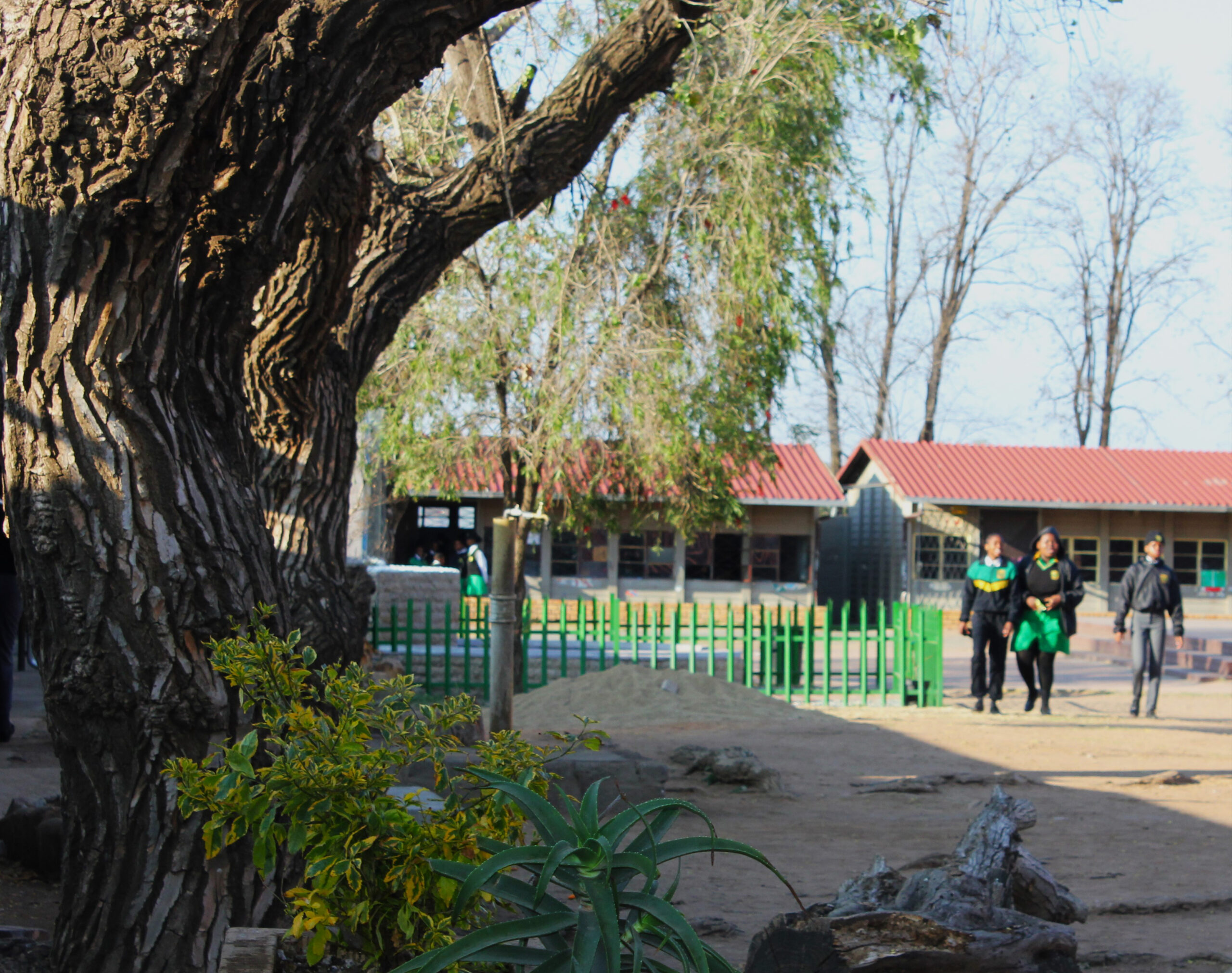 School Fees & Enrolment